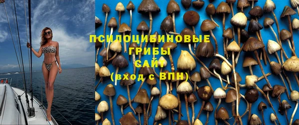 спиды Алексин