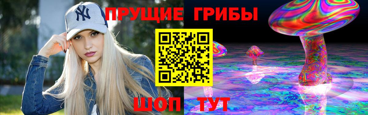 Псилоцибиновые грибы мицелий Кизилюрт